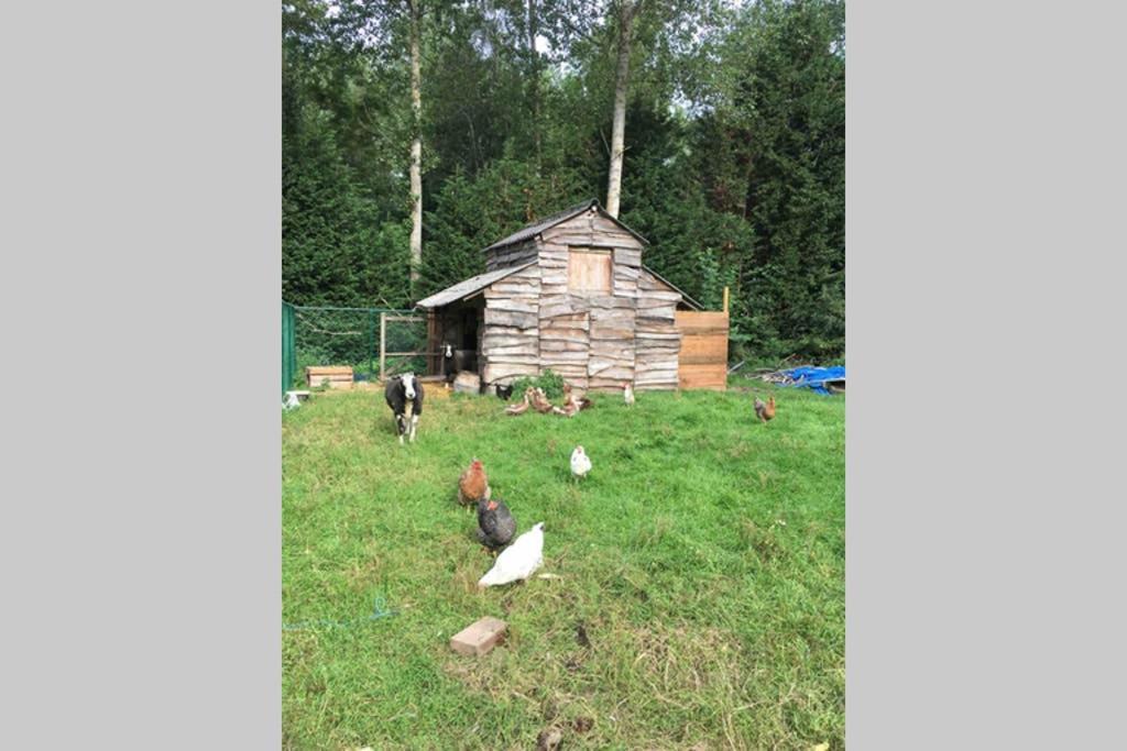 Cozy Studio On A Quaint Farm Apartment Kruibeke Luaran gambar
